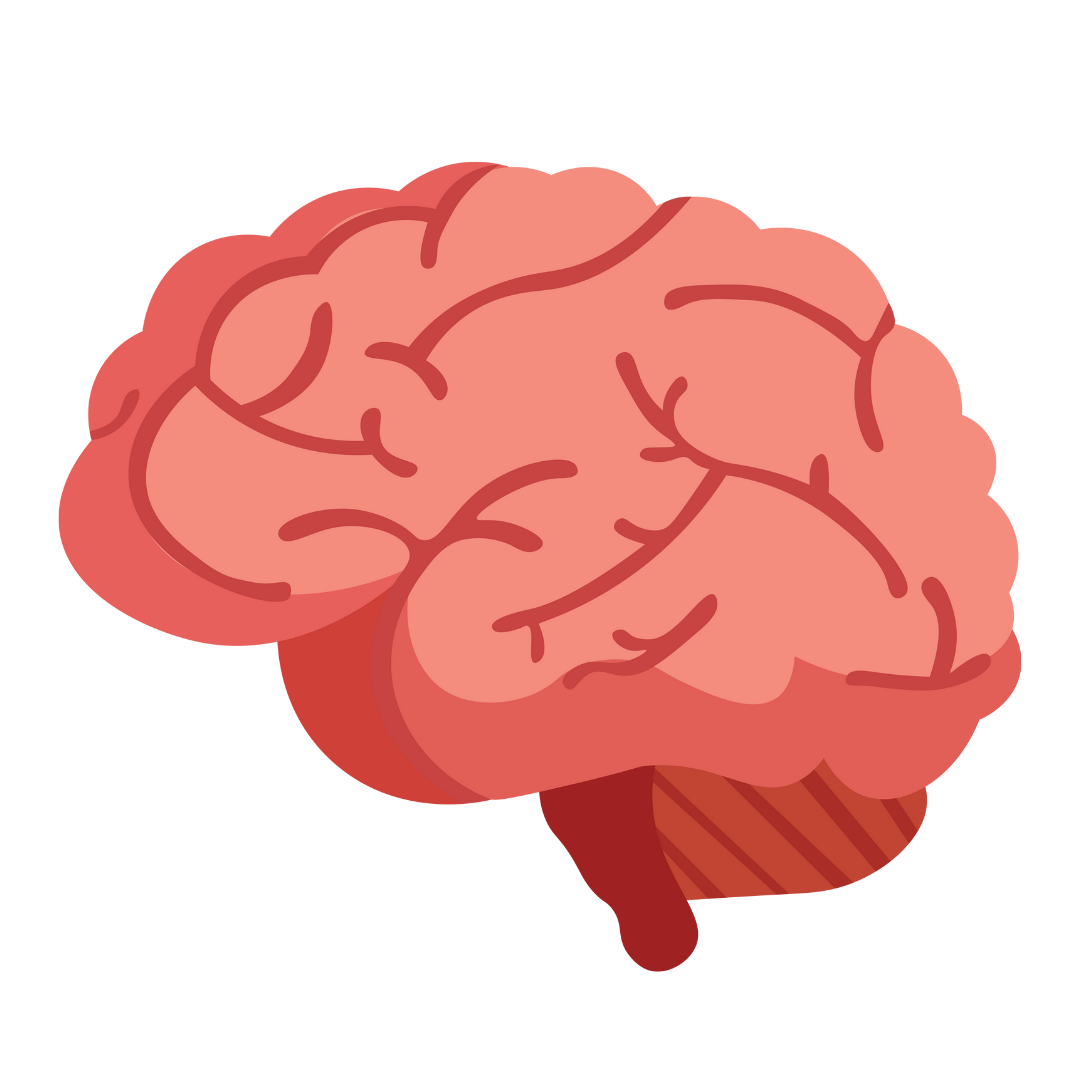 Neurofiziologija; Fiziologija čula