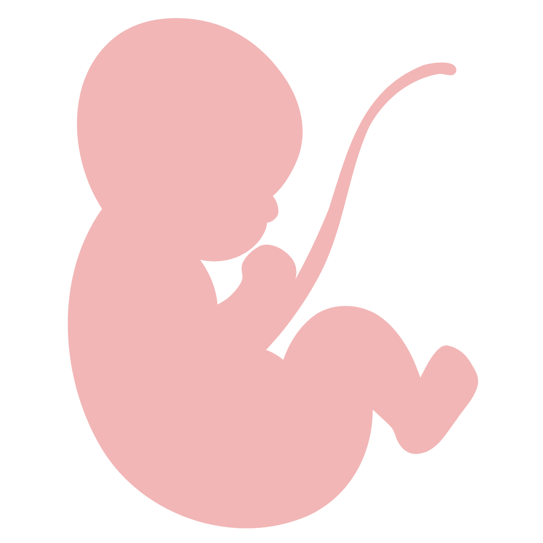 Biologija razvića